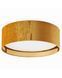 Потолочный светильник TK Lighting 6123 Tercino 6123-TK фото 1