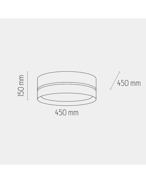 Стельовий світильник TK Lighting 6548 Paglia 6548-TK фото