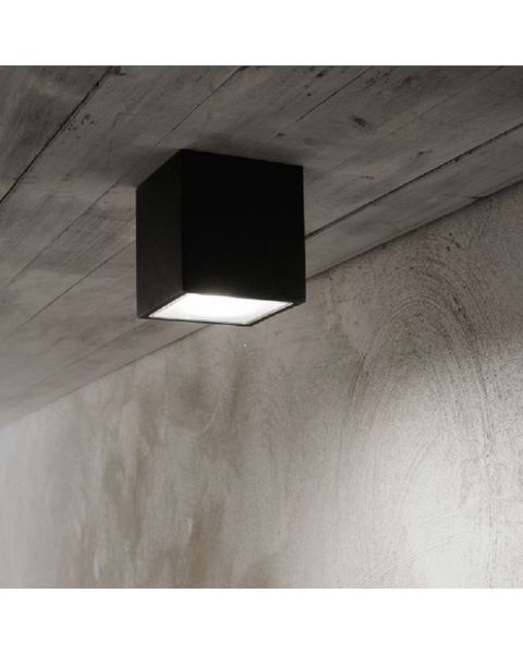 Вуличний світильник Ideal Lux 251530 Techo 251530-IDEAL LUX фото