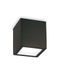 Вуличний світильник Ideal Lux 251530 Techo 251530-IDEAL LUX фото 1