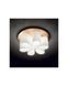 Люстра Ideal Lux 247779 Daisy PL6 247779-IDEAL LUX фото 2