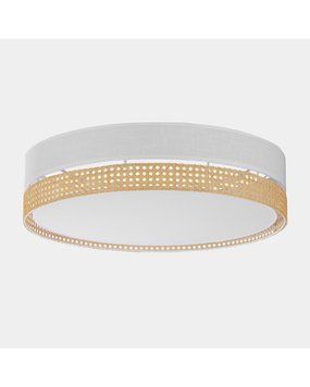 Потолочный светильник TK Lighting 6535 Paglia 6535-TK фото
