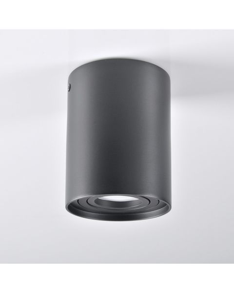 Точечный светильник Polux 313102 Hadar R1 GU10 10W 313102-PLX фото