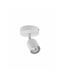 Спот TK lighting 3299 Top 3299-TK фото 1